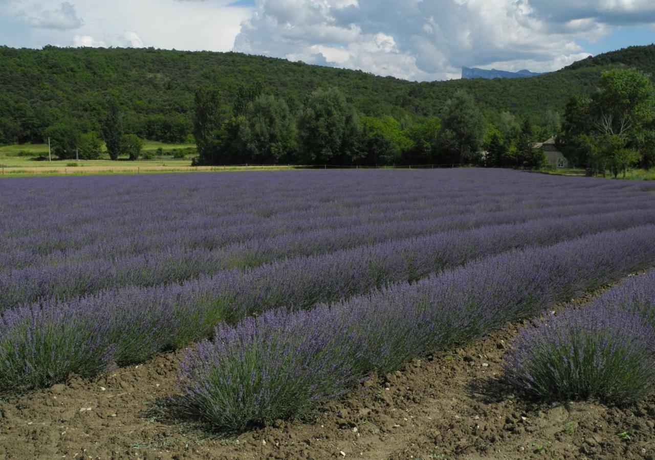 Touroulet Suze